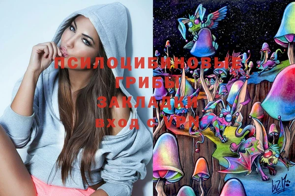 apvp Верея