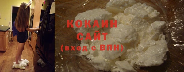 хмурый Бородино