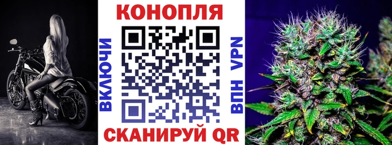 Купить где  Козловка  Канабис Amnesia 